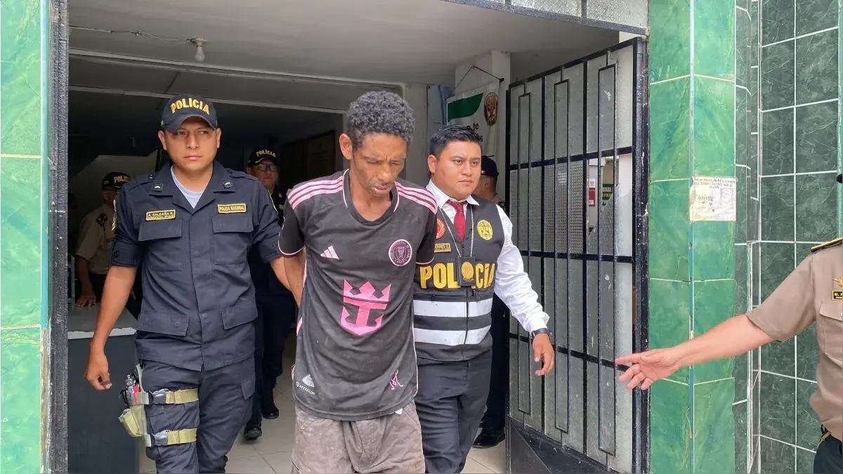 Peru! estafa, delito de robo, detenido, Policía Nacional del Perú, extorsión, secuestro, hurto, Lucha contra la delincuencia 2024.11.8-2025.1.5